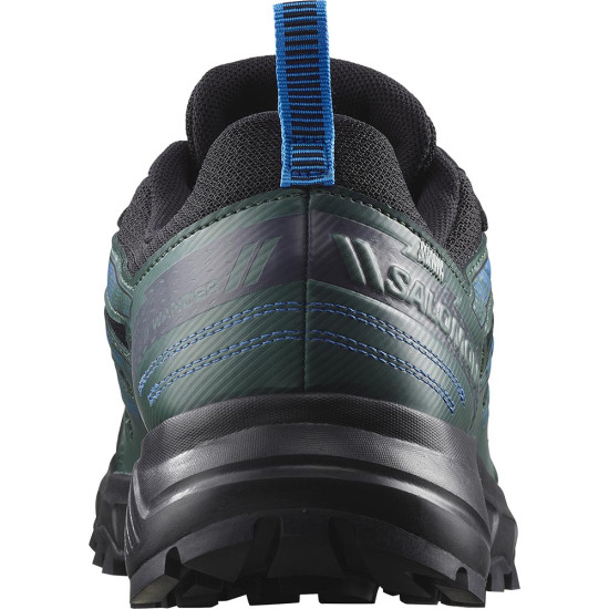Salomon Wander GTX